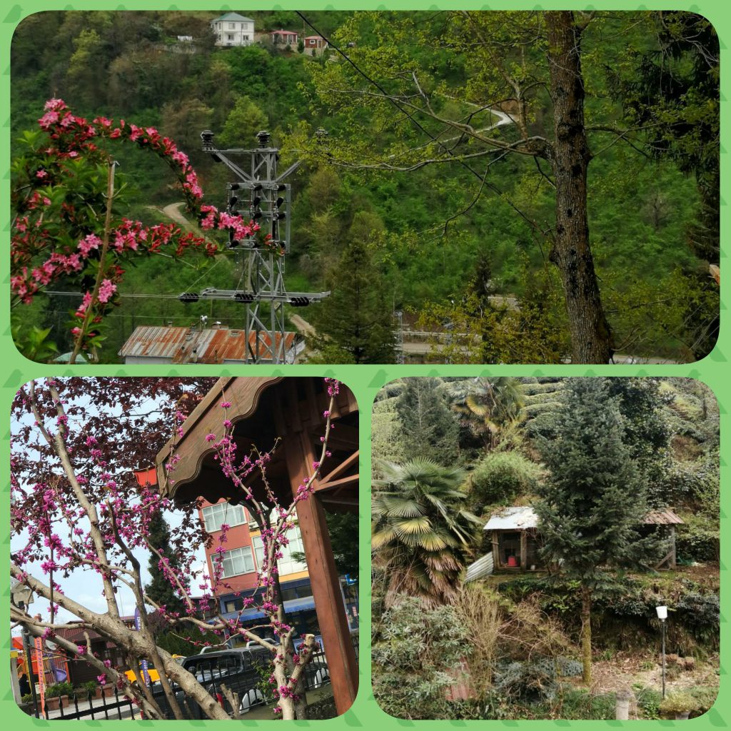 ÇOCUK GÖZÜYLE DİJİTAL MEDYA -ÇOCUKLARIN GÖZÜNDE DOĞA ALBÜMÜ by tuba alpaslan - Ourboox.com