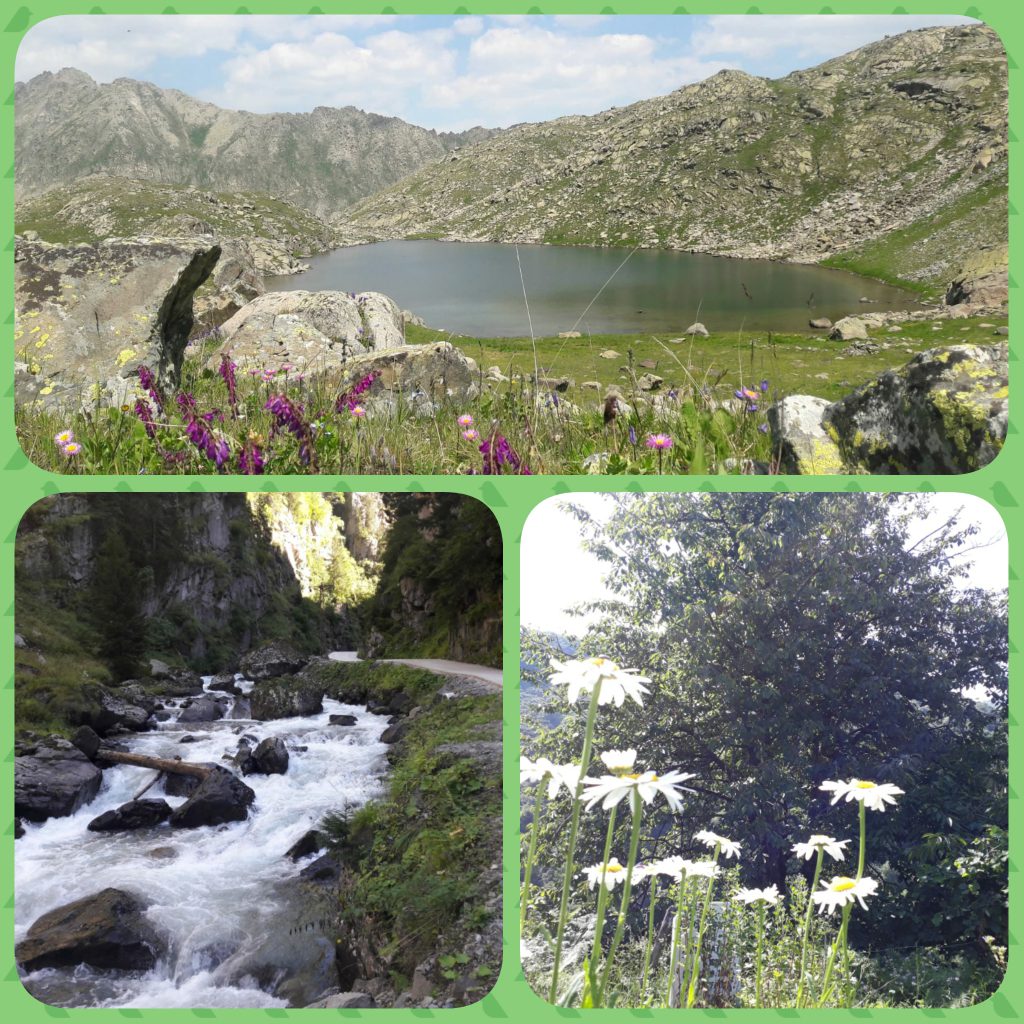 ÇOCUK GÖZÜYLE DİJİTAL MEDYA -ÇOCUKLARIN GÖZÜNDE DOĞA ALBÜMÜ by tuba alpaslan - Ourboox.com