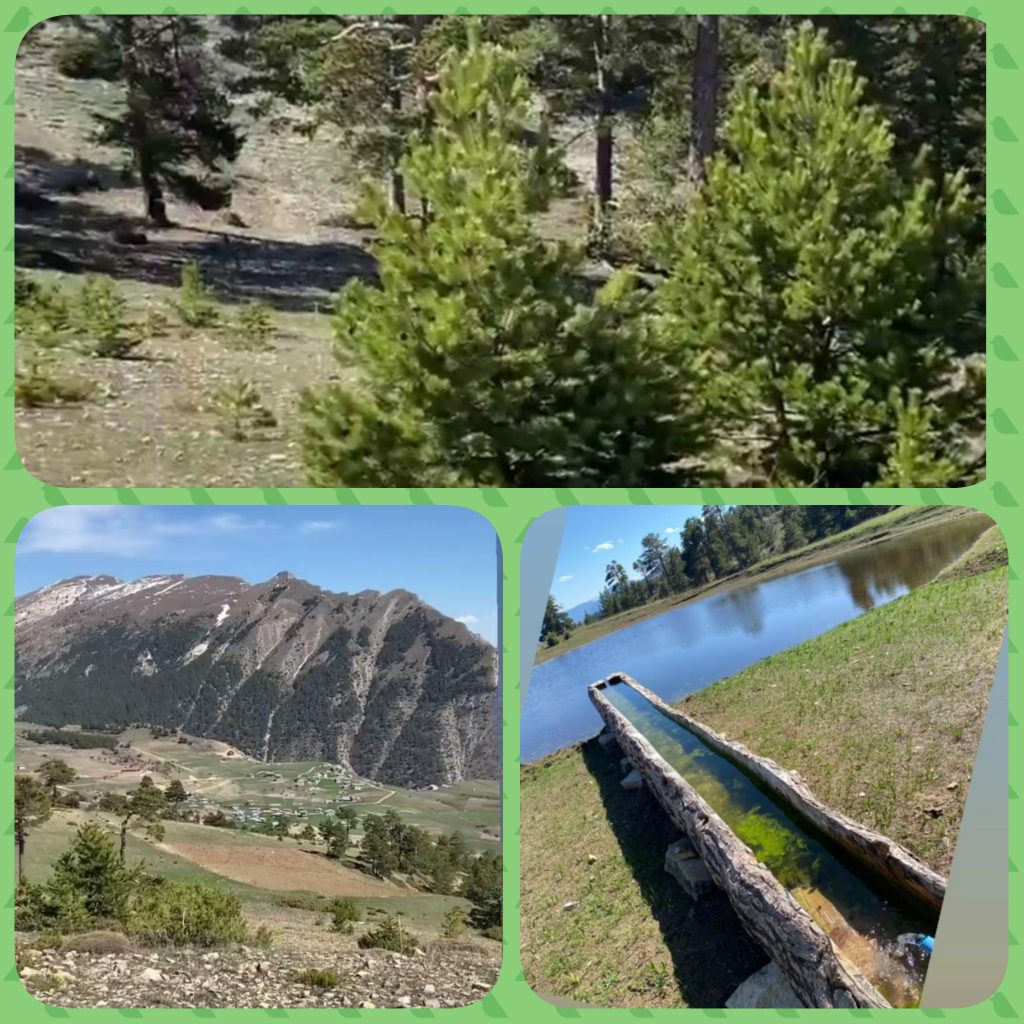 ÇOCUK GÖZÜYLE DİJİTAL MEDYA -ÇOCUKLARIN GÖZÜNDE DOĞA ALBÜMÜ by tuba alpaslan - Ourboox.com