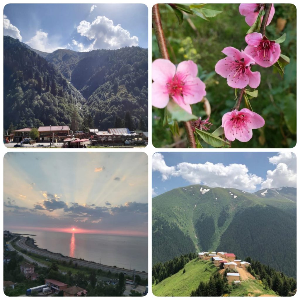 ÇOCUK GÖZÜYLE DİJİTAL MEDYA -ÇOCUKLARIN GÖZÜNDE DOĞA ALBÜMÜ by tuba alpaslan - Ourboox.com