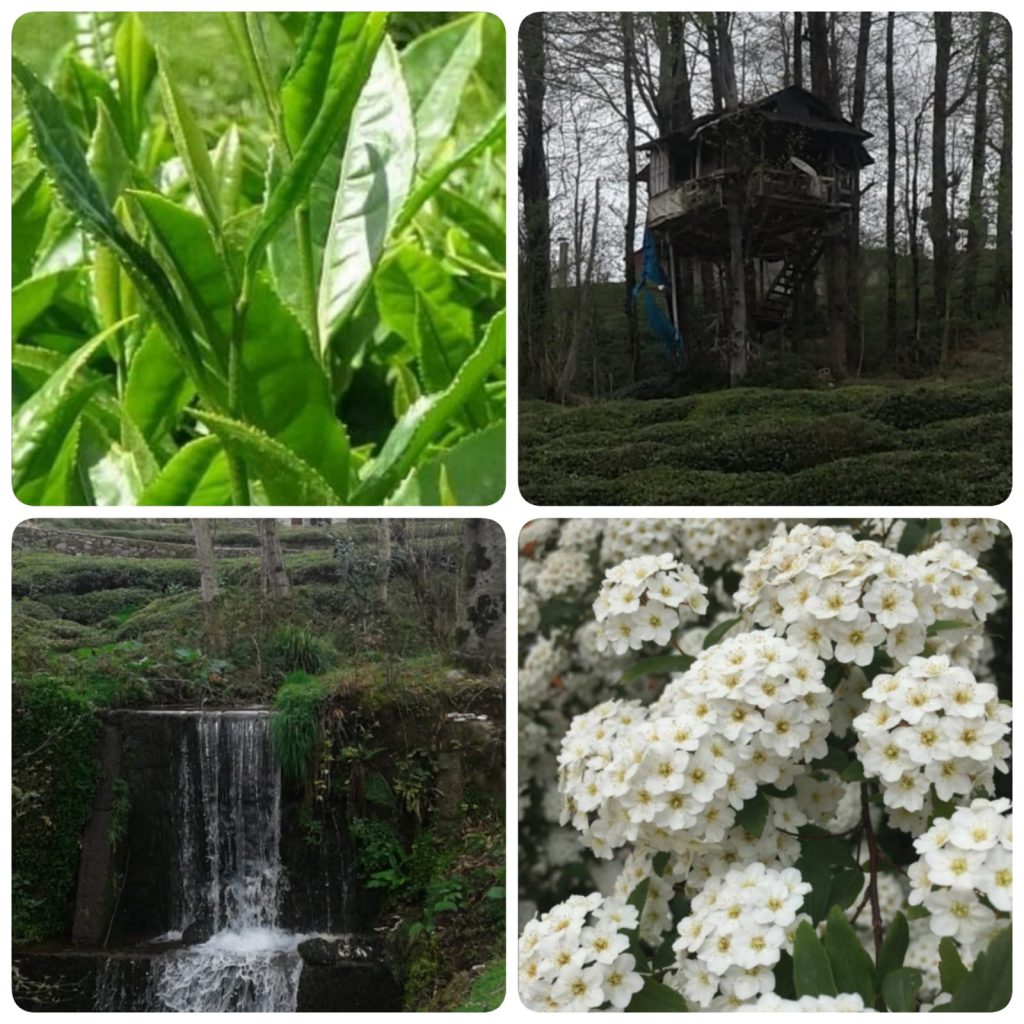 ÇOCUK GÖZÜYLE DİJİTAL MEDYA -ÇOCUKLARIN GÖZÜNDE DOĞA ALBÜMÜ by tuba alpaslan - Ourboox.com