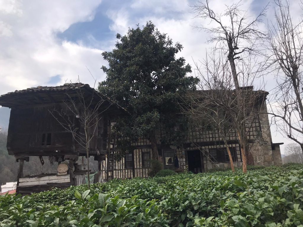 ÇOCUK GÖZÜYLE DİJİTAL MEDYA -ÇOCUKLARIN GÖZÜNDE DOĞA ALBÜMÜ by tuba alpaslan - Ourboox.com