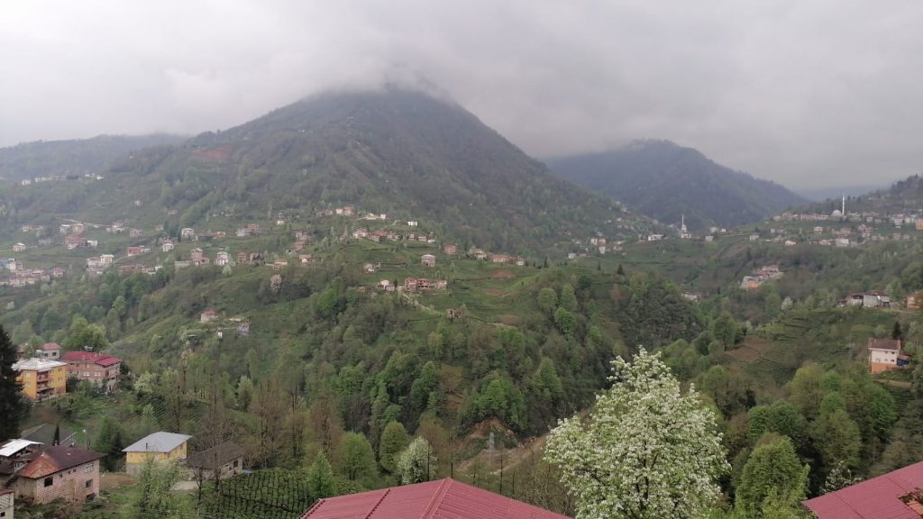 ÇOCUK GÖZÜYLE DİJİTAL MEDYA -ÇOCUKLARIN GÖZÜNDE DOĞA ALBÜMÜ by tuba alpaslan - Ourboox.com