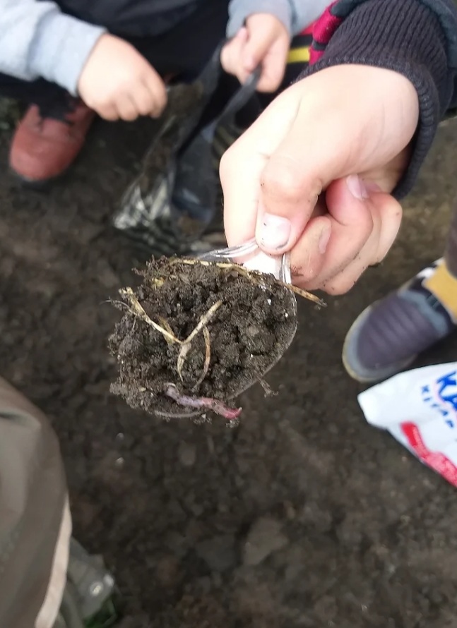 ÇOCUK GÖZÜYLE DİJİTAL MEDYA -ÇOCUKLARIN GÖZÜNDE DOĞA ALBÜMÜ by tuba alpaslan - Ourboox.com