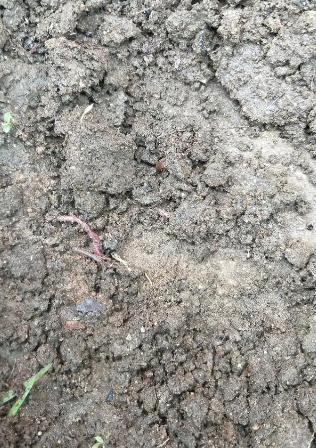 ÇOCUK GÖZÜYLE DİJİTAL MEDYA -ÇOCUKLARIN GÖZÜNDE DOĞA ALBÜMÜ by tuba alpaslan - Ourboox.com