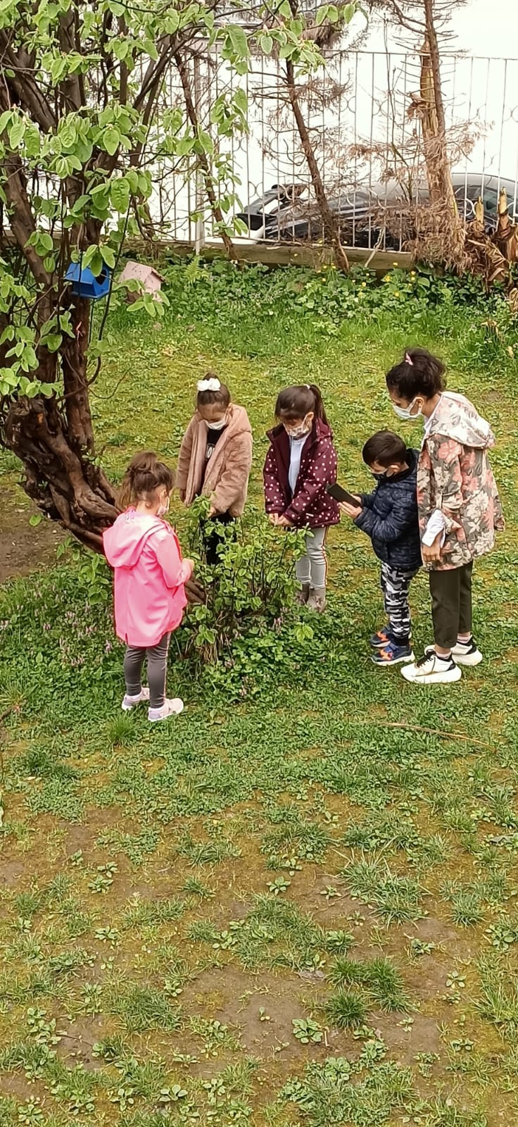 ÇOCUK GÖZÜYLE DİJİTAL MEDYA -ÇOCUKLARIN GÖZÜNDE DOĞA ALBÜMÜ by tuba alpaslan - Ourboox.com