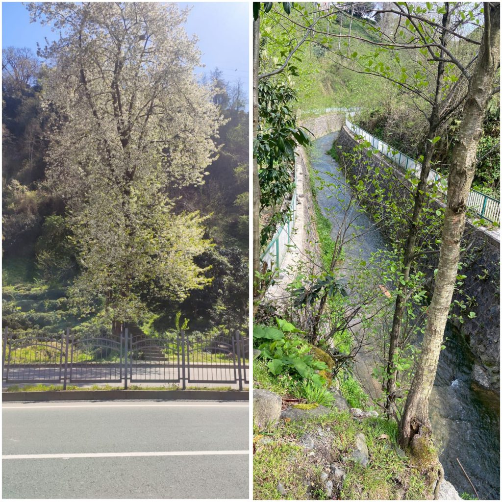 ÇOCUK GÖZÜYLE DİJİTAL MEDYA -ÇOCUKLARIN GÖZÜNDE DOĞA ALBÜMÜ by tuba alpaslan - Ourboox.com