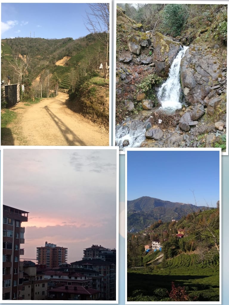 ÇOCUK GÖZÜYLE DİJİTAL MEDYA -ÇOCUKLARIN GÖZÜNDE DOĞA ALBÜMÜ by tuba alpaslan - Ourboox.com