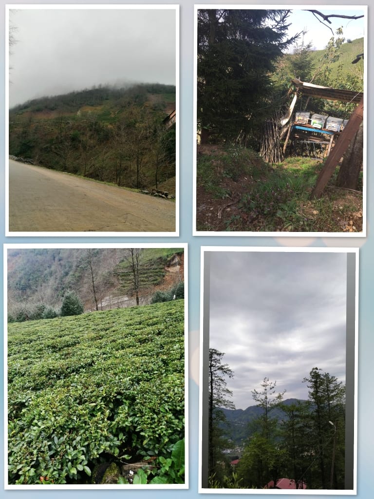 ÇOCUK GÖZÜYLE DİJİTAL MEDYA -ÇOCUKLARIN GÖZÜNDE DOĞA ALBÜMÜ by tuba alpaslan - Ourboox.com