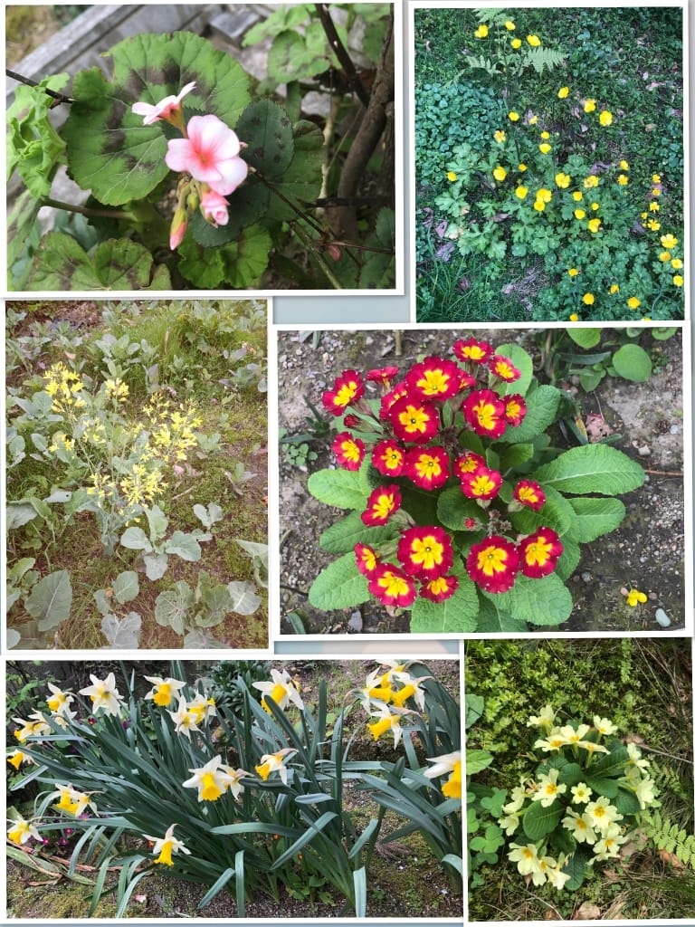 ÇOCUK GÖZÜYLE DİJİTAL MEDYA -ÇOCUKLARIN GÖZÜNDE DOĞA ALBÜMÜ by tuba alpaslan - Ourboox.com