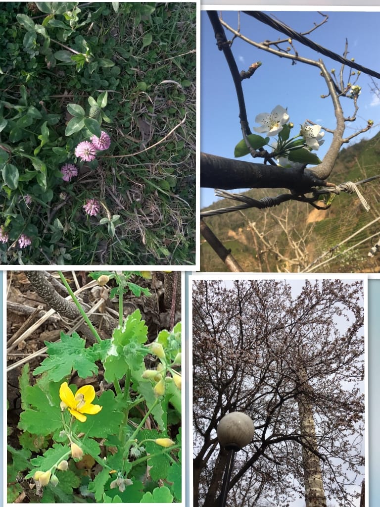 ÇOCUK GÖZÜYLE DİJİTAL MEDYA -ÇOCUKLARIN GÖZÜNDE DOĞA ALBÜMÜ by tuba alpaslan - Ourboox.com