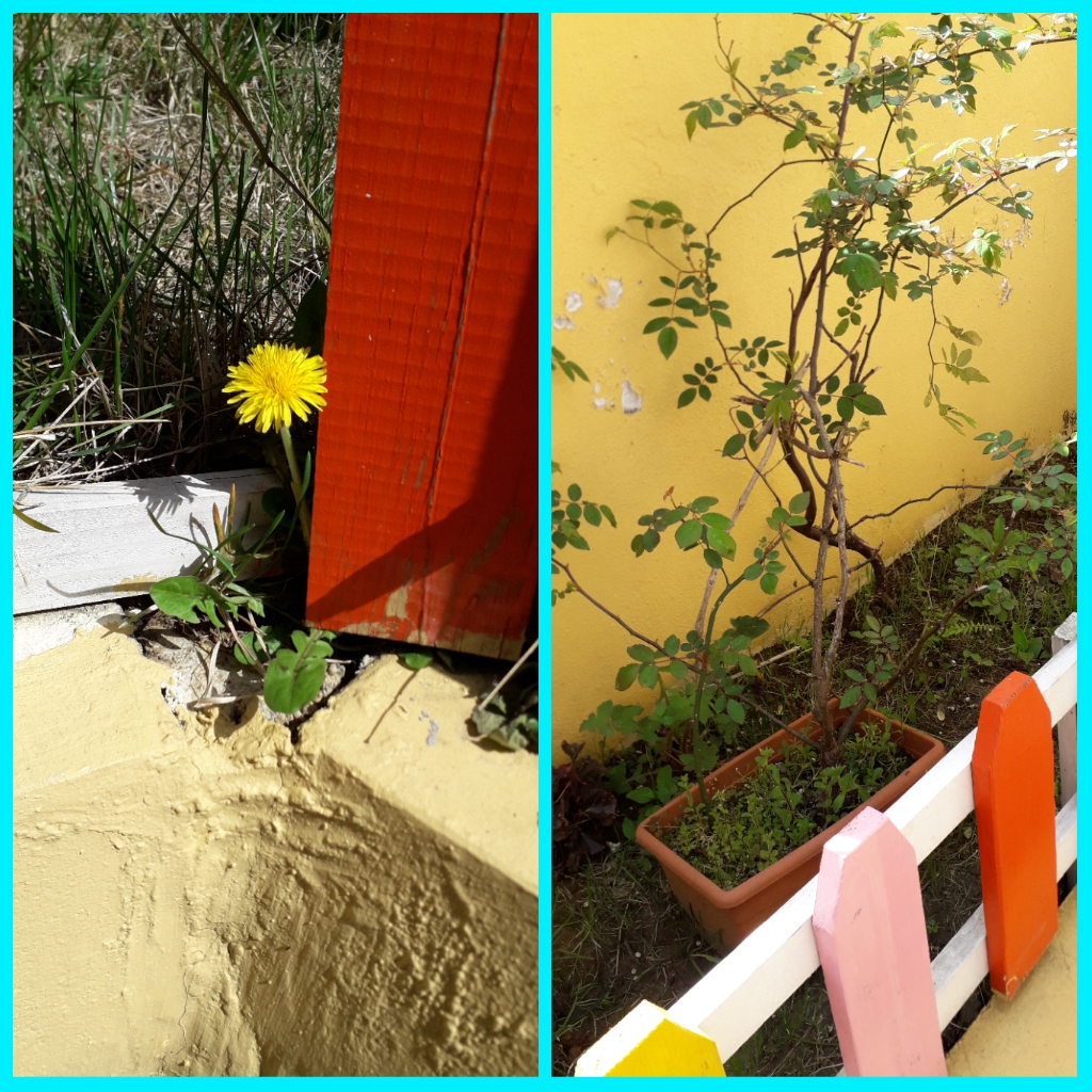 ÇOCUK GÖZÜYLE DİJİTAL MEDYA -ÇOCUKLARIN GÖZÜNDE DOĞA ALBÜMÜ by tuba alpaslan - Ourboox.com