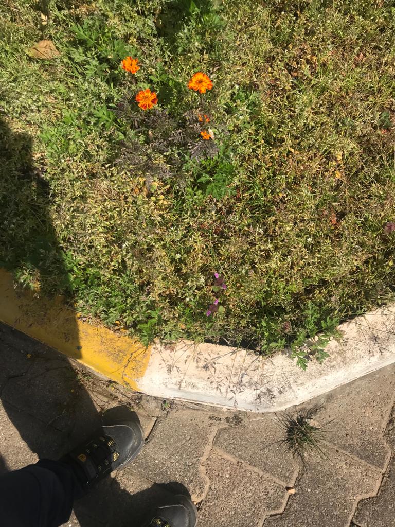 ÇOCUK GÖZÜYLE DİJİTAL MEDYA -ÇOCUKLARIN GÖZÜNDE DOĞA ALBÜMÜ by tuba alpaslan - Ourboox.com