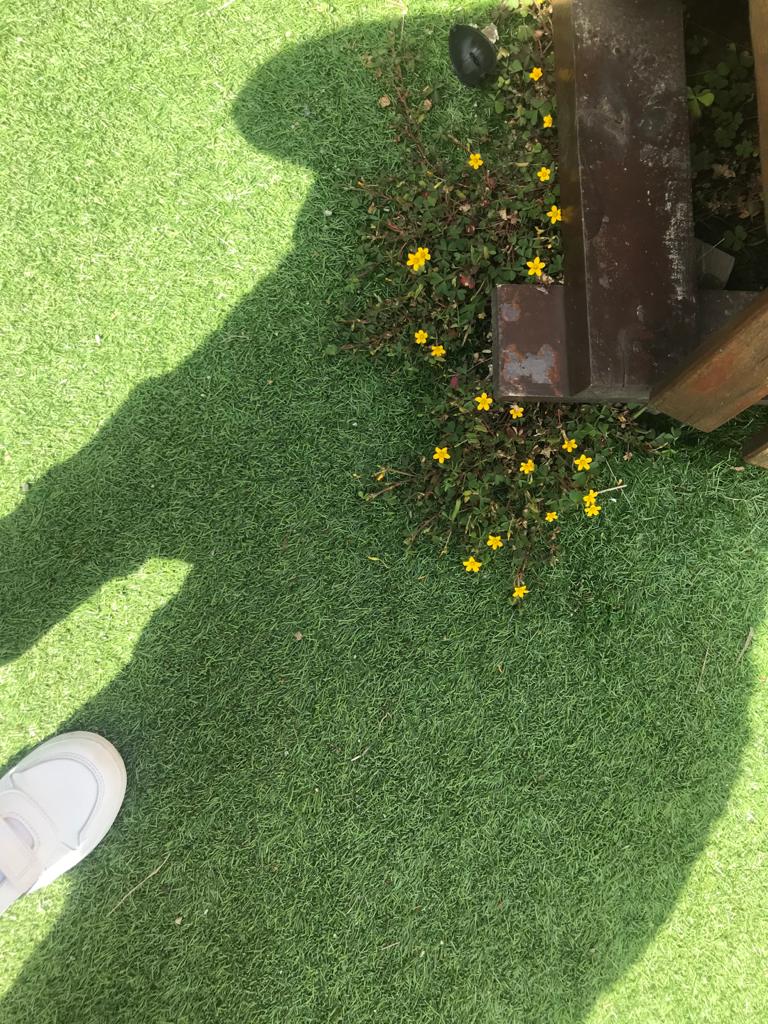 ÇOCUK GÖZÜYLE DİJİTAL MEDYA -ÇOCUKLARIN GÖZÜNDE DOĞA ALBÜMÜ by tuba alpaslan - Ourboox.com