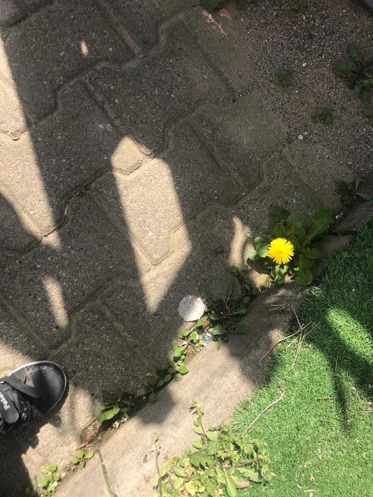 ÇOCUK GÖZÜYLE DİJİTAL MEDYA -ÇOCUKLARIN GÖZÜNDE DOĞA ALBÜMÜ by tuba alpaslan - Ourboox.com