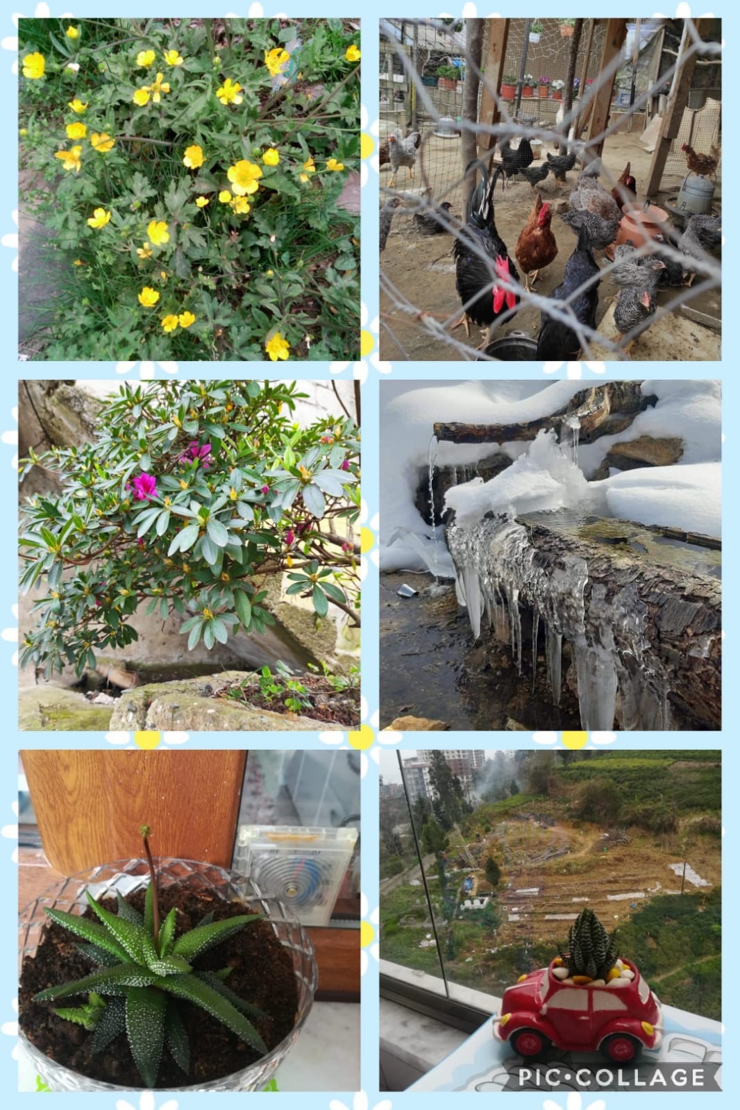 ÇOCUK GÖZÜYLE DİJİTAL MEDYA -ÇOCUKLARIN GÖZÜNDE DOĞA ALBÜMÜ by tuba alpaslan - Ourboox.com