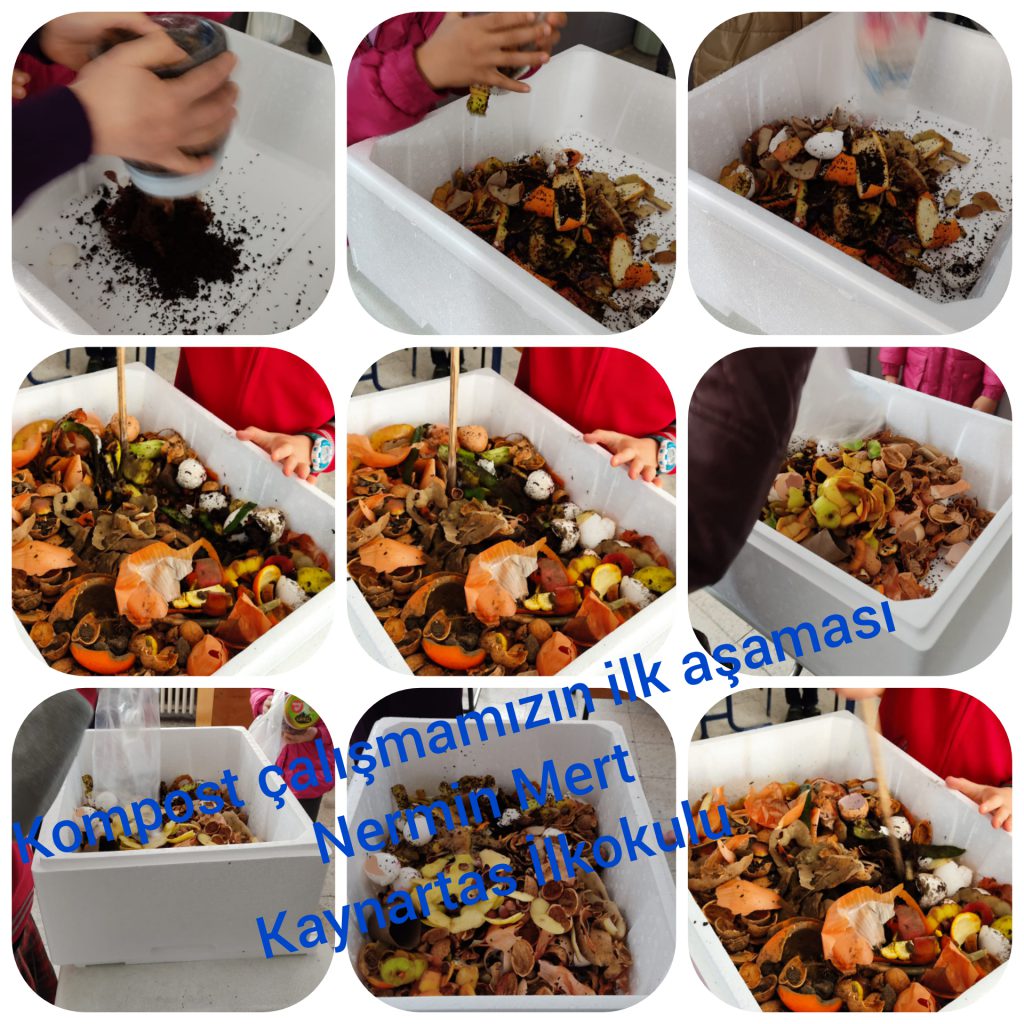 Gelecek Senin Ellerinde Projesi Müfredatla İlişkilendirme by Gelecek Senin Ellerinde - Ourboox.com