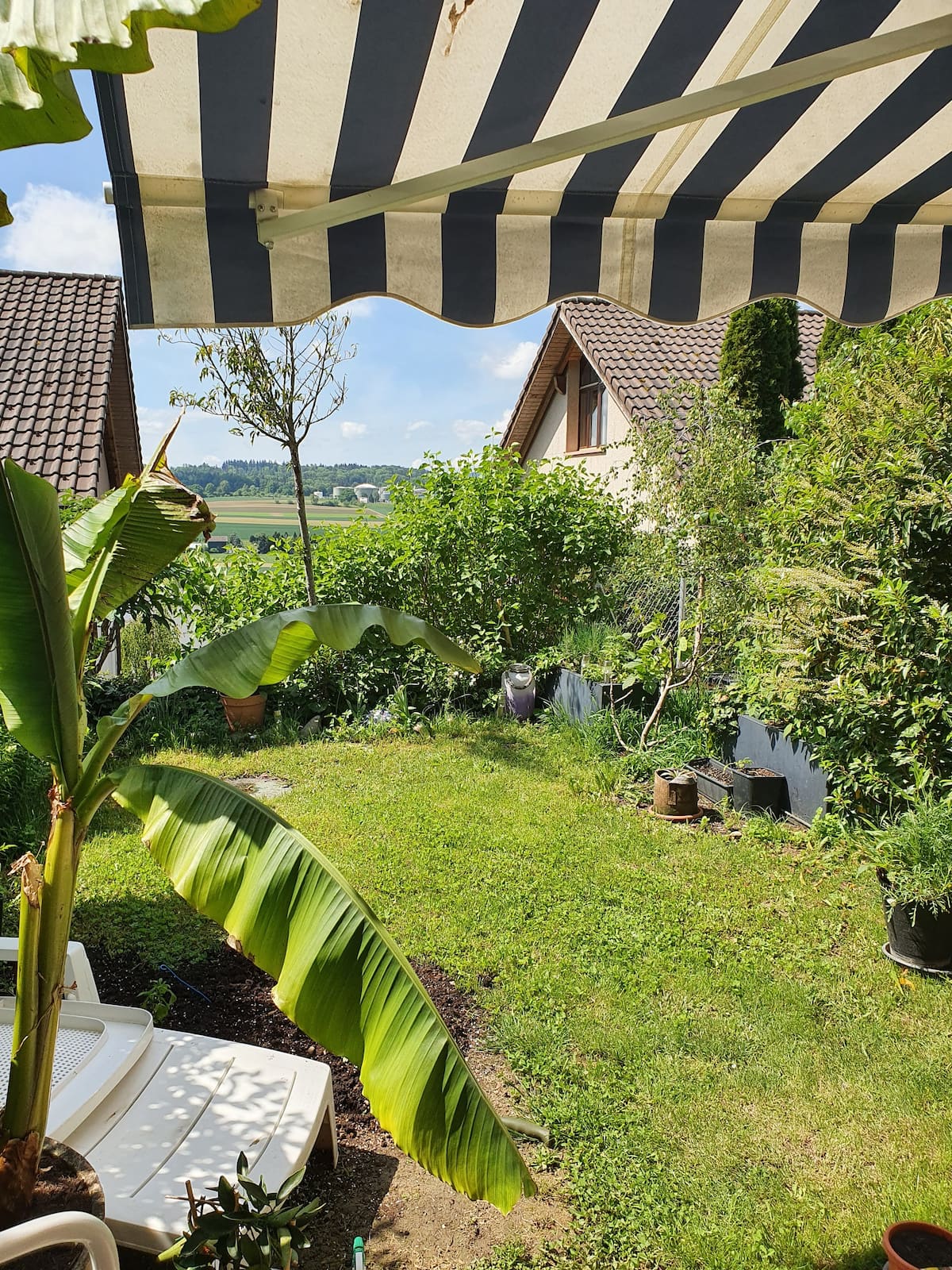 First Day in Zurich by GulhanTurkiye - Illustrated by Ildeniz ozverir Cansu Ors Sevtap Akcebel - Ourboox.com