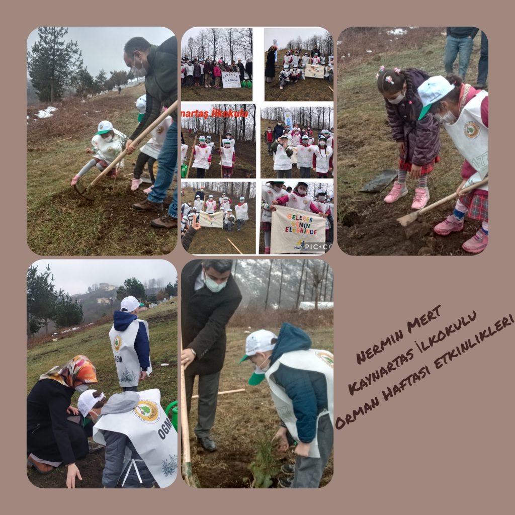 Gelecek Senin Ellerinde Projesi Müfredatla İlişkilendirme by Gelecek Senin Ellerinde - Ourboox.com