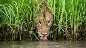 mmm by Petya Zlatilova - Ourboox.com