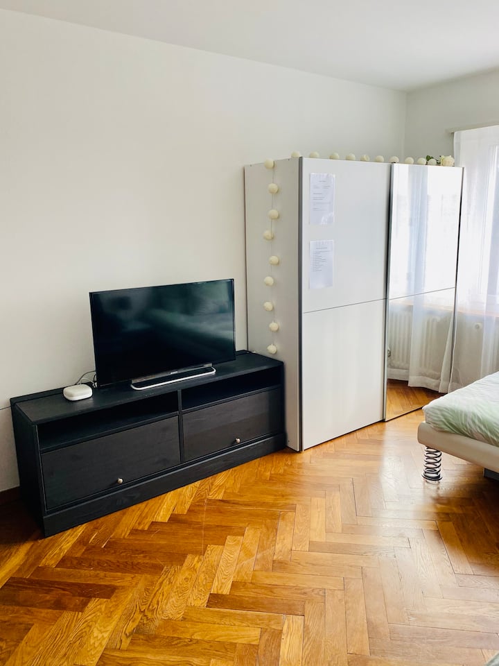 Third Day in Bernese Oberland by GulhanTurkiye - Illustrated by Ildeniz ozverir Cansu Ors Sevtap Akcebel - Ourboox.com