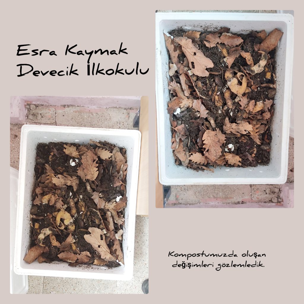 Gelecek Senin Ellerinde Projesi Müfredatla İlişkilendirme by Gelecek Senin Ellerinde - Ourboox.com