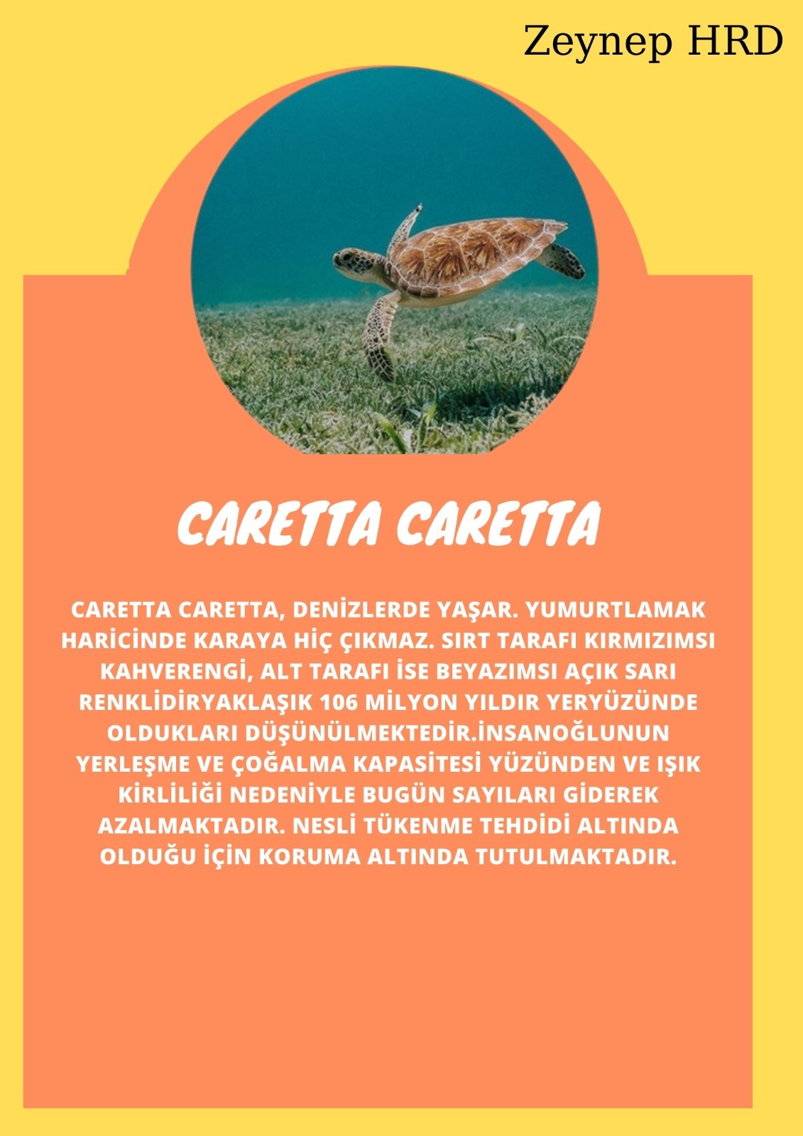 SOYU TÜKENEN VE TÜKENMEKTE OLAN CANLILAR by SELVİ MARANCI - Ourboox.com