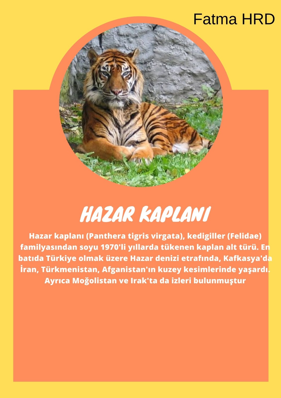 SOYU TÜKENEN VE TÜKENMEKTE OLAN CANLILAR by SELVİ MARANCI - Ourboox.com