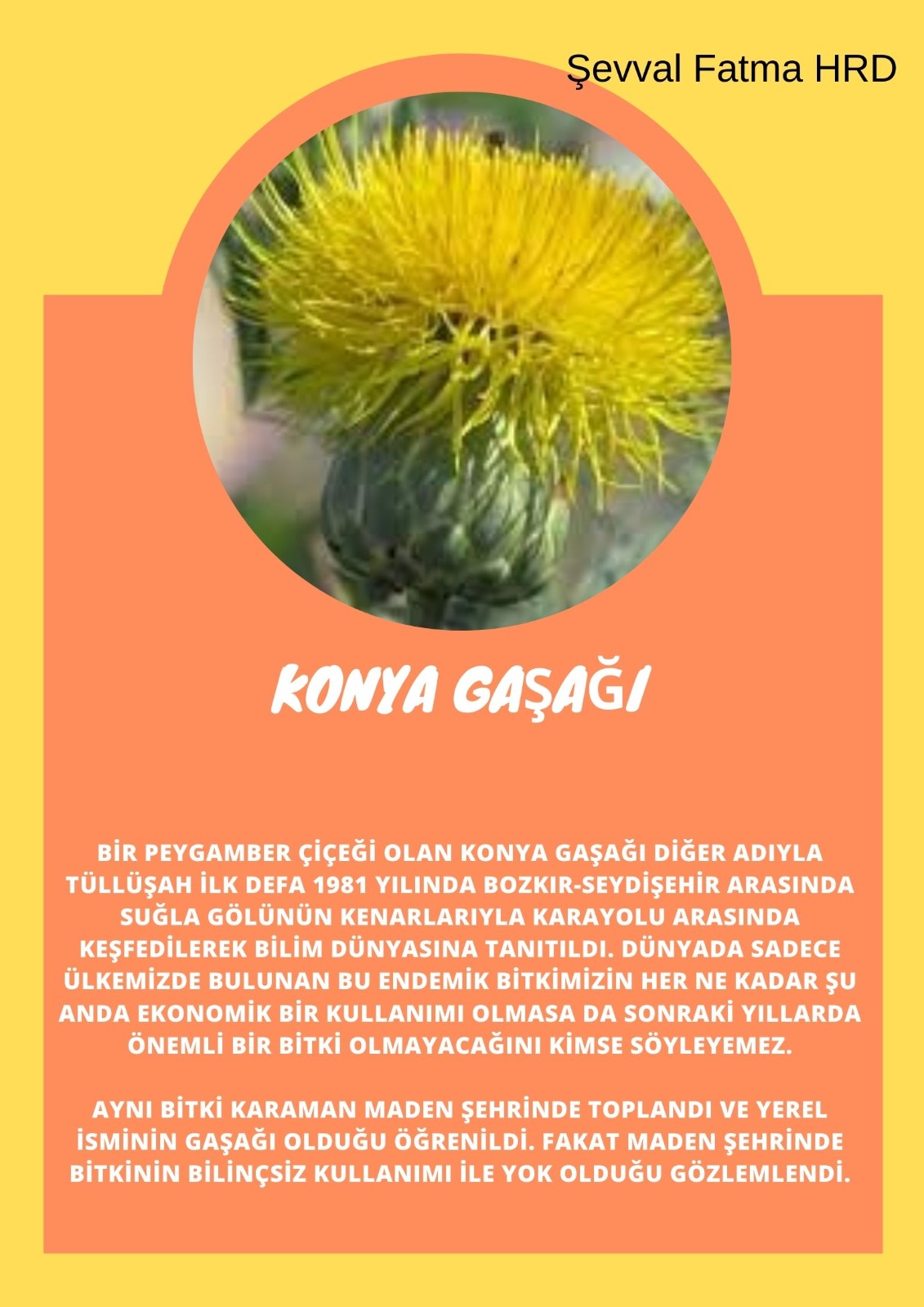 SOYU TÜKENEN VE TÜKENMEKTE OLAN CANLILAR by SELVİ MARANCI - Ourboox.com