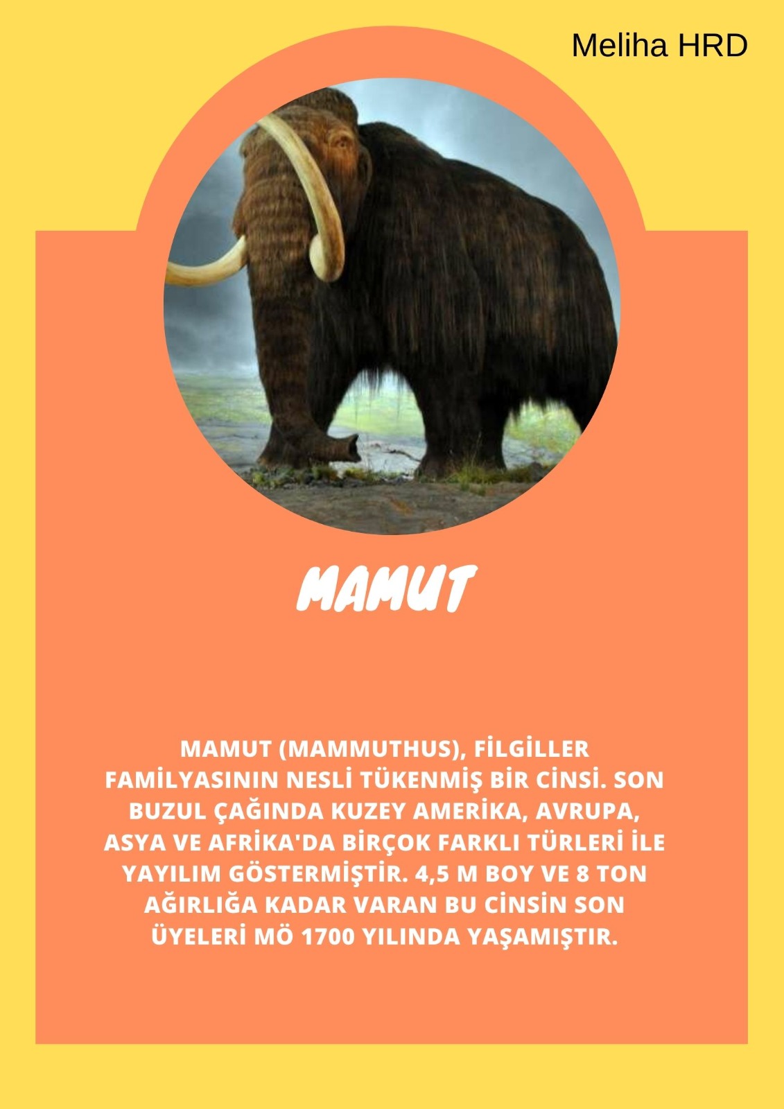 SOYU TÜKENEN VE TÜKENMEKTE OLAN CANLILAR by SELVİ MARANCI - Ourboox.com