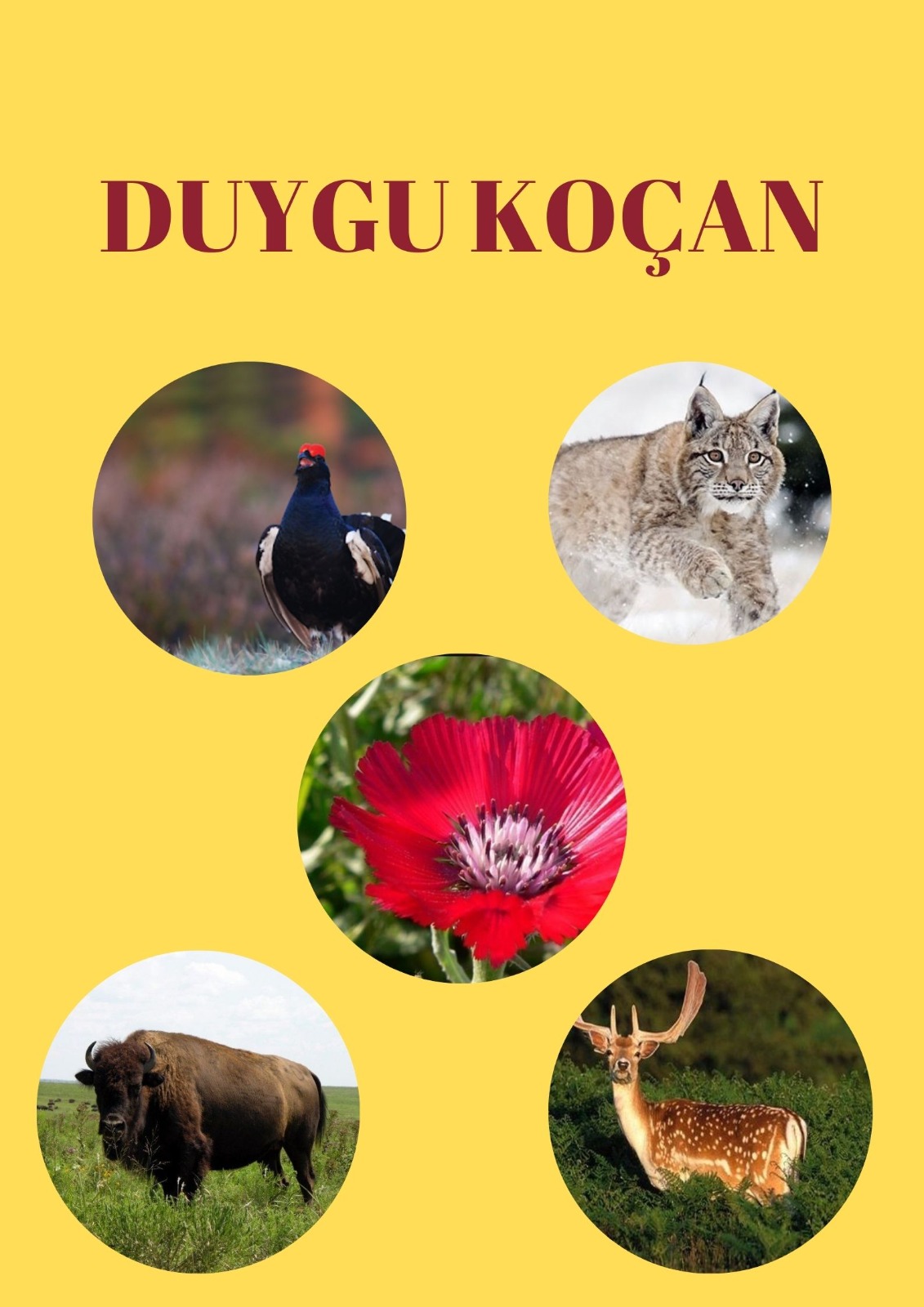 SOYU TÜKENEN VE TÜKENMEKTE OLAN CANLILAR by SELVİ MARANCI - Ourboox.com