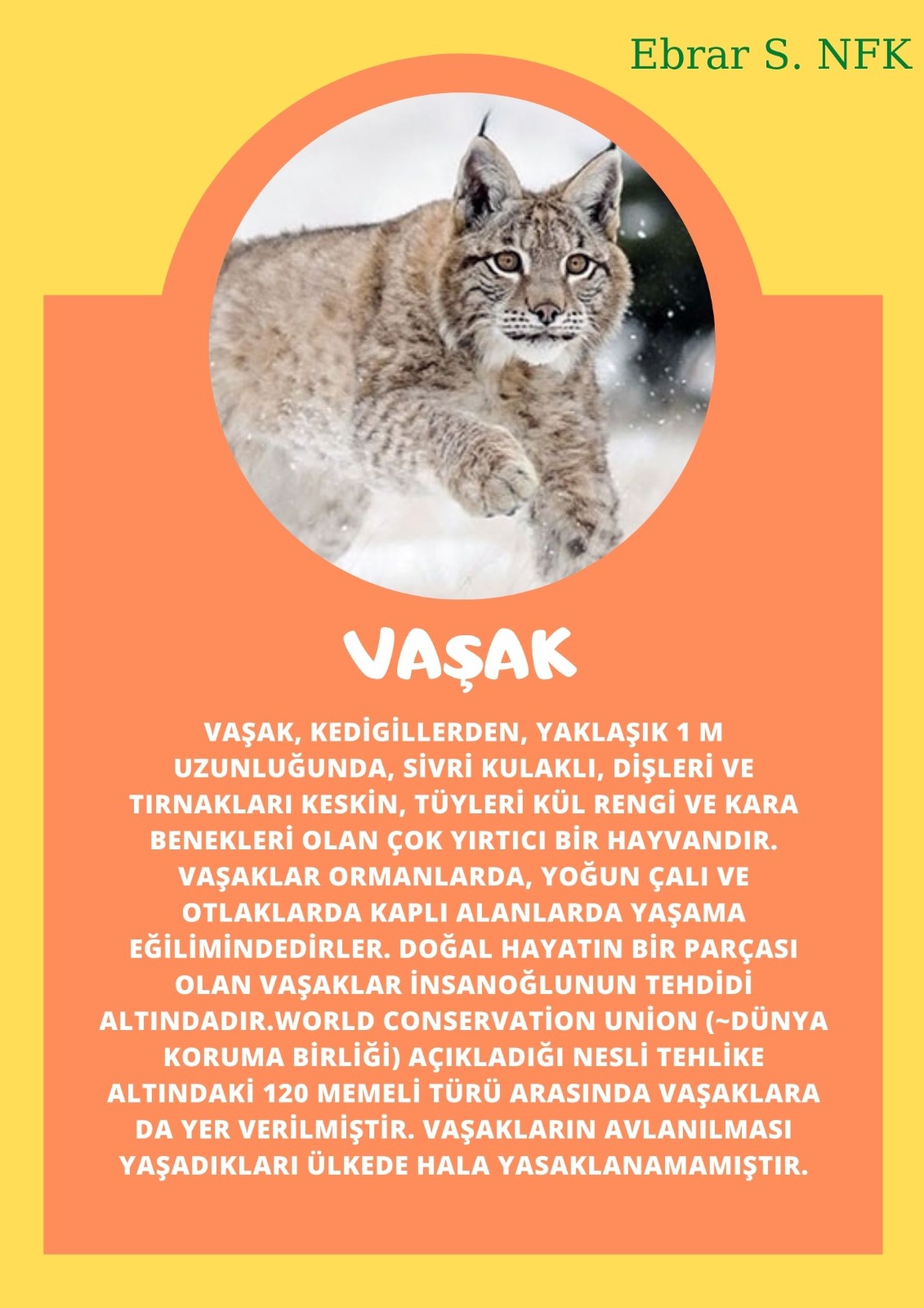 SOYU TÜKENEN VE TÜKENMEKTE OLAN CANLILAR by SELVİ MARANCI - Ourboox.com