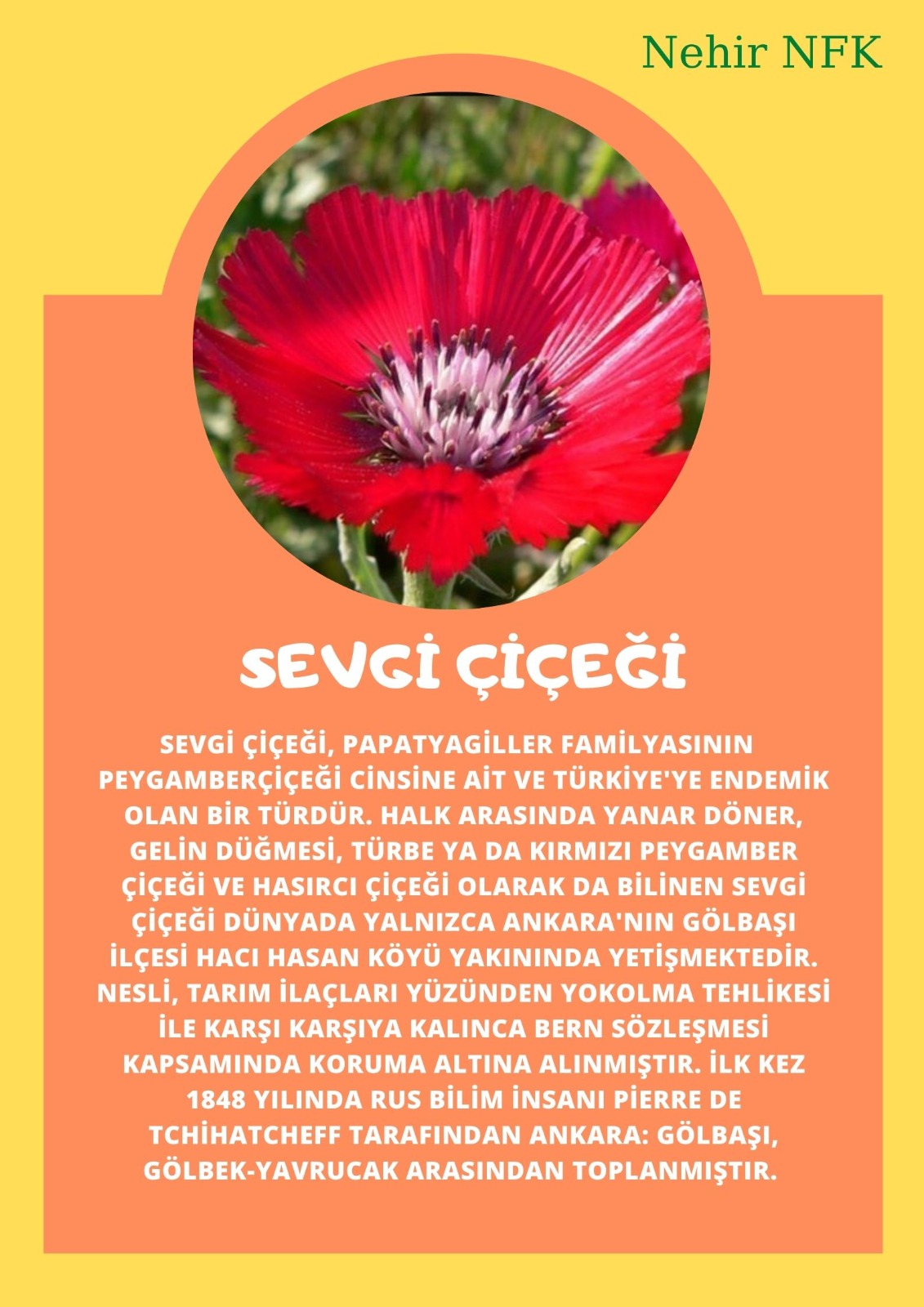 SOYU TÜKENEN VE TÜKENMEKTE OLAN CANLILAR by SELVİ MARANCI - Ourboox.com