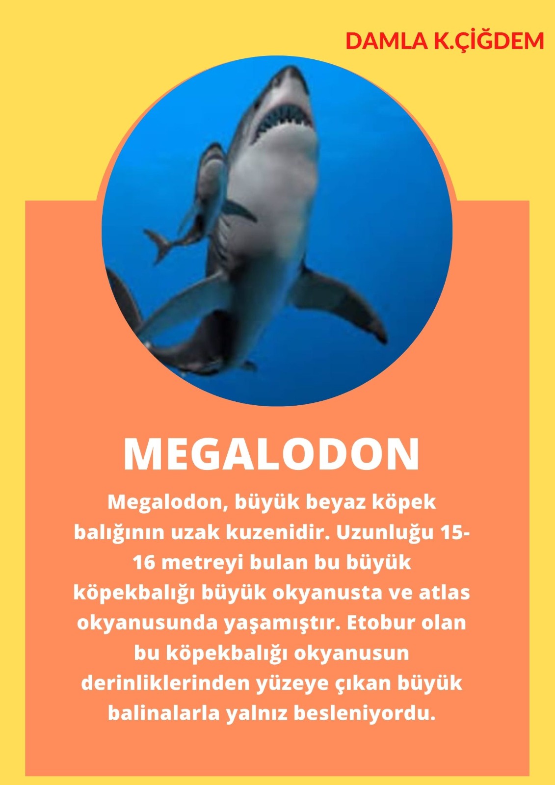 SOYU TÜKENEN VE TÜKENMEKTE OLAN CANLILAR by SELVİ MARANCI - Ourboox.com