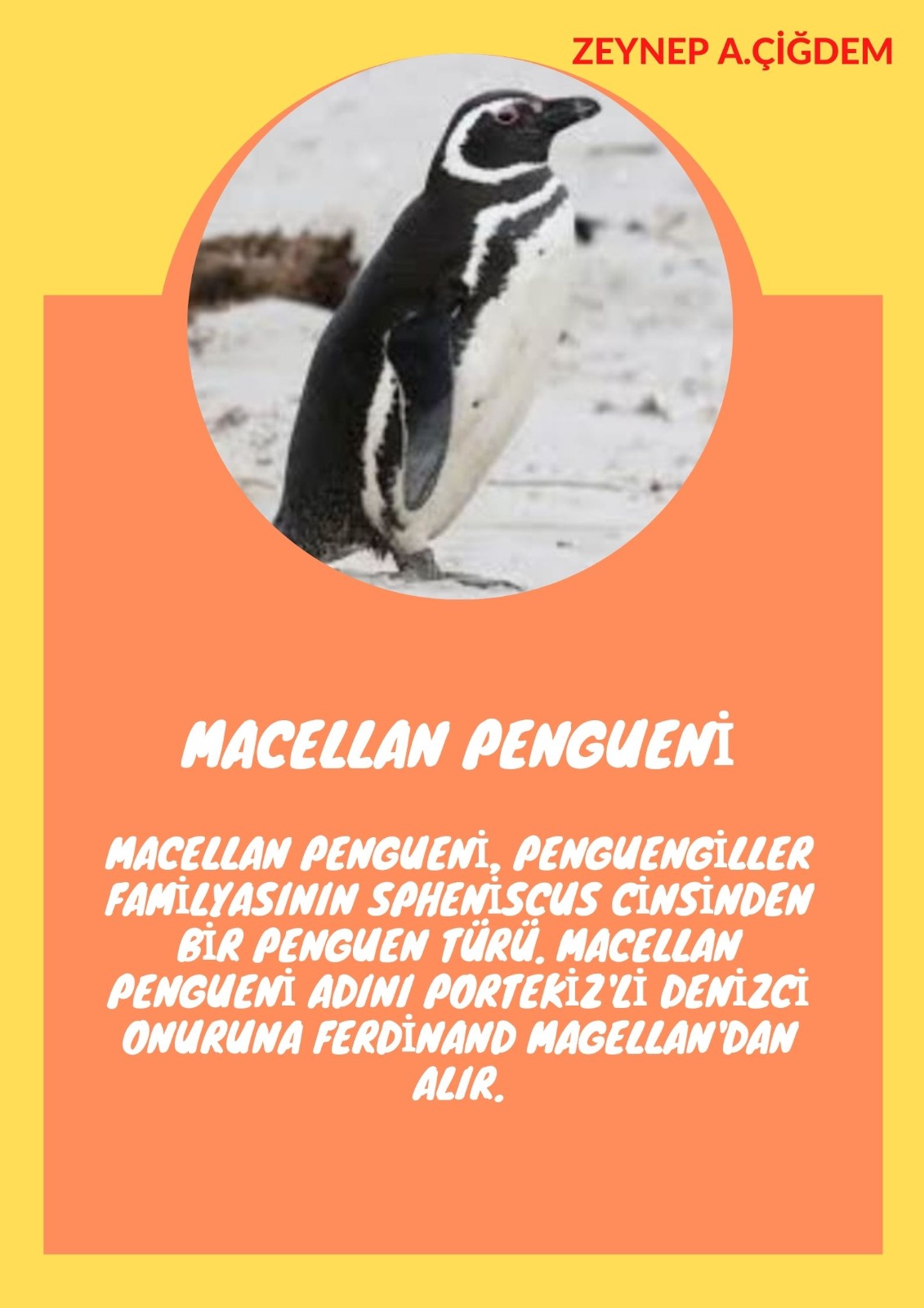 SOYU TÜKENEN VE TÜKENMEKTE OLAN CANLILAR by SELVİ MARANCI - Ourboox.com