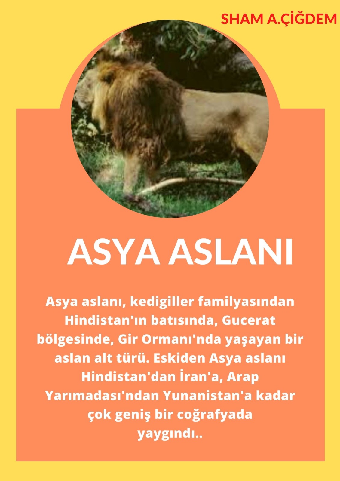 SOYU TÜKENEN VE TÜKENMEKTE OLAN CANLILAR by SELVİ MARANCI - Ourboox.com