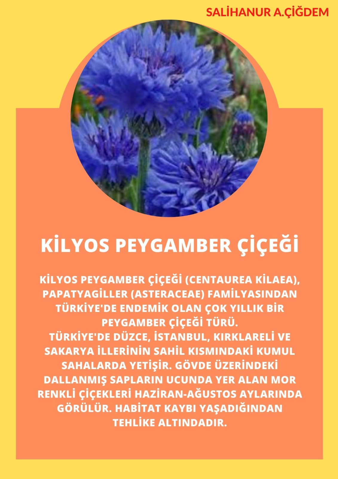 SOYU TÜKENEN VE TÜKENMEKTE OLAN CANLILAR by SELVİ MARANCI - Ourboox.com