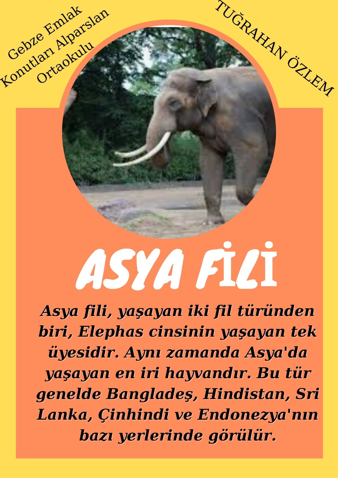 SOYU TÜKENEN VE TÜKENMEKTE OLAN CANLILAR by SELVİ MARANCI - Ourboox.com