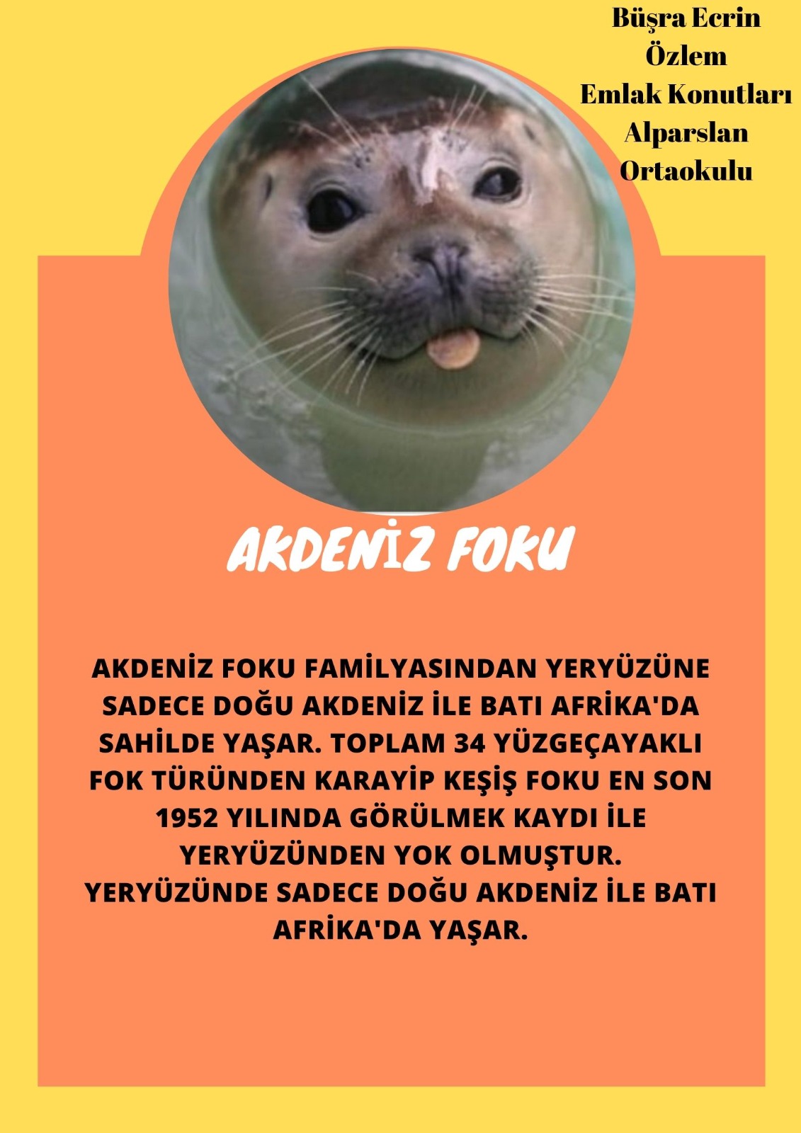 SOYU TÜKENEN VE TÜKENMEKTE OLAN CANLILAR by SELVİ MARANCI - Ourboox.com