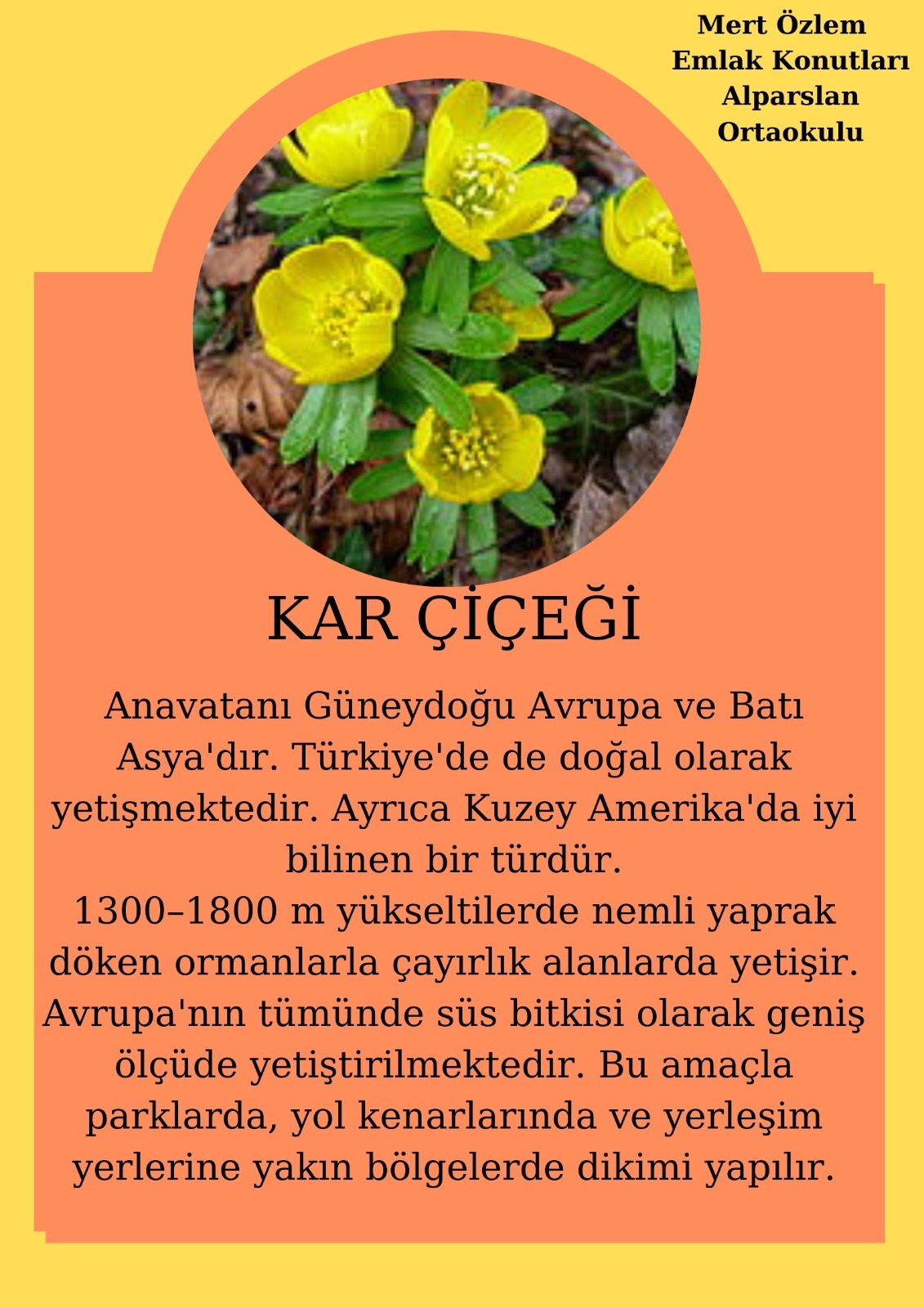 SOYU TÜKENEN VE TÜKENMEKTE OLAN CANLILAR by SELVİ MARANCI - Ourboox.com