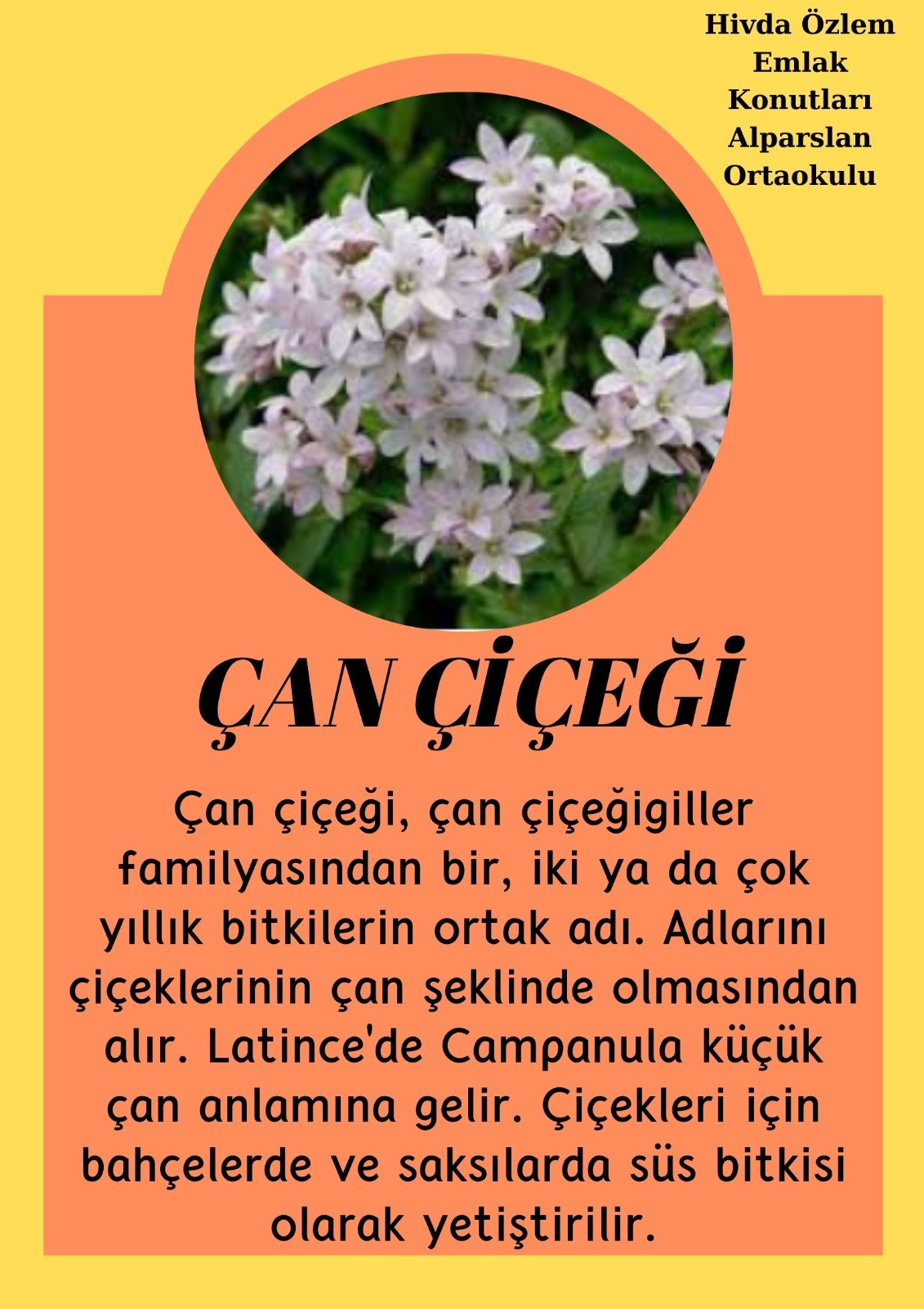 SOYU TÜKENEN VE TÜKENMEKTE OLAN CANLILAR by SELVİ MARANCI - Ourboox.com