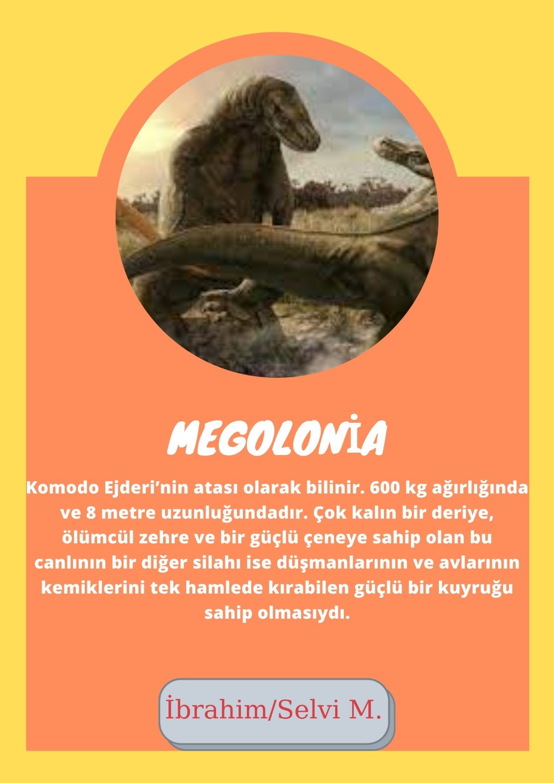 SOYU TÜKENEN VE TÜKENMEKTE OLAN CANLILAR by SELVİ MARANCI - Ourboox.com