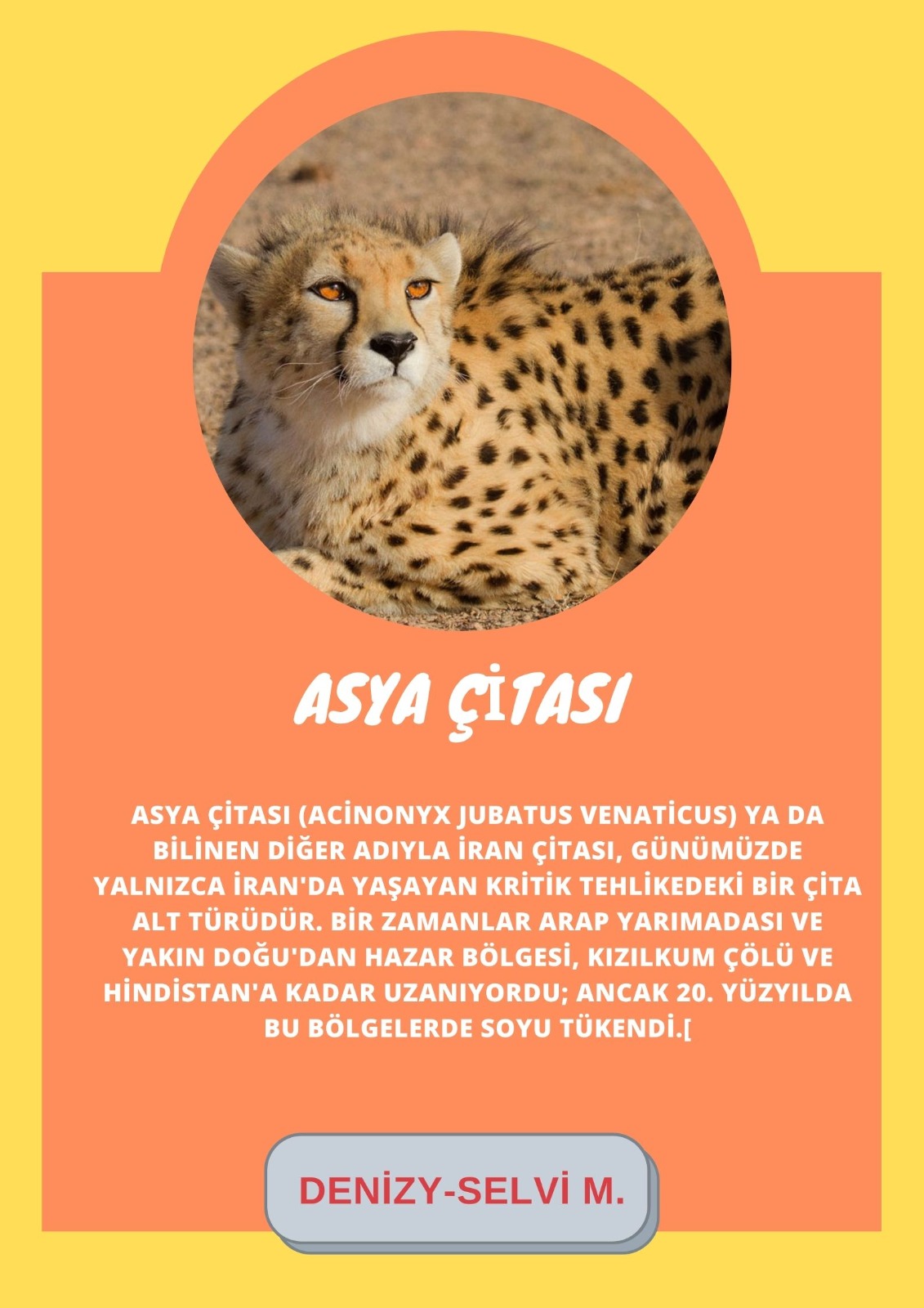 SOYU TÜKENEN VE TÜKENMEKTE OLAN CANLILAR by SELVİ MARANCI - Ourboox.com