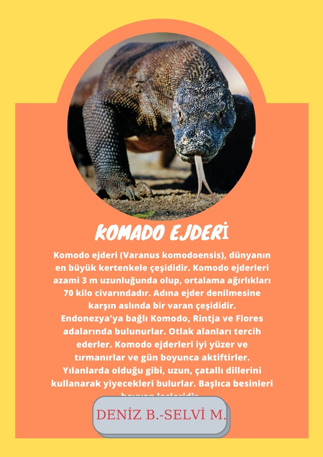 SOYU TÜKENEN VE TÜKENMEKTE OLAN CANLILAR by SELVİ MARANCI - Ourboox.com