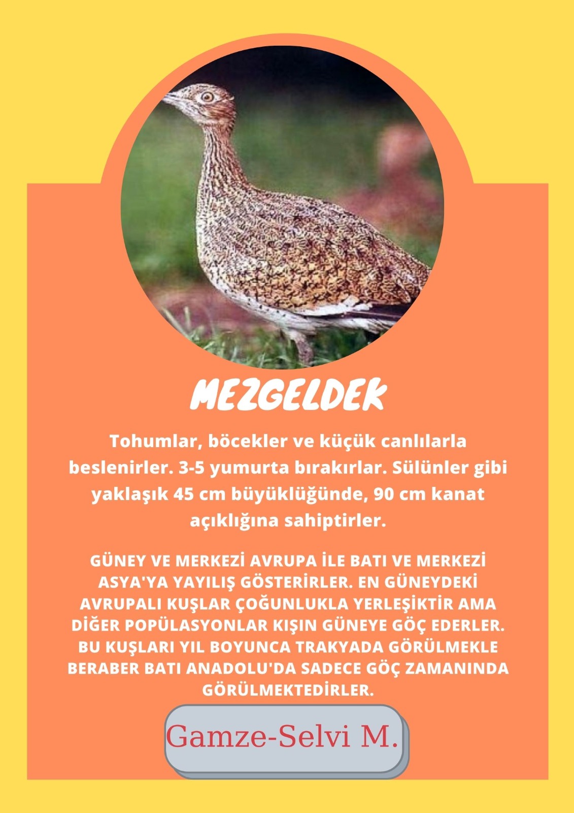 SOYU TÜKENEN VE TÜKENMEKTE OLAN CANLILAR by SELVİ MARANCI - Ourboox.com