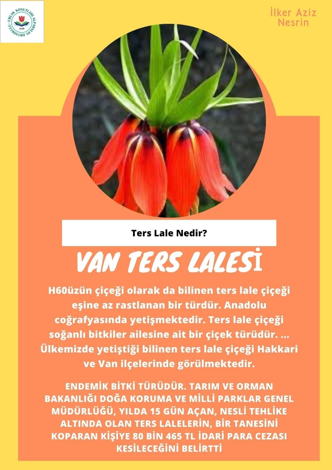 SOYU TÜKENEN VE TÜKENMEKTE OLAN CANLILAR by SELVİ MARANCI - Ourboox.com