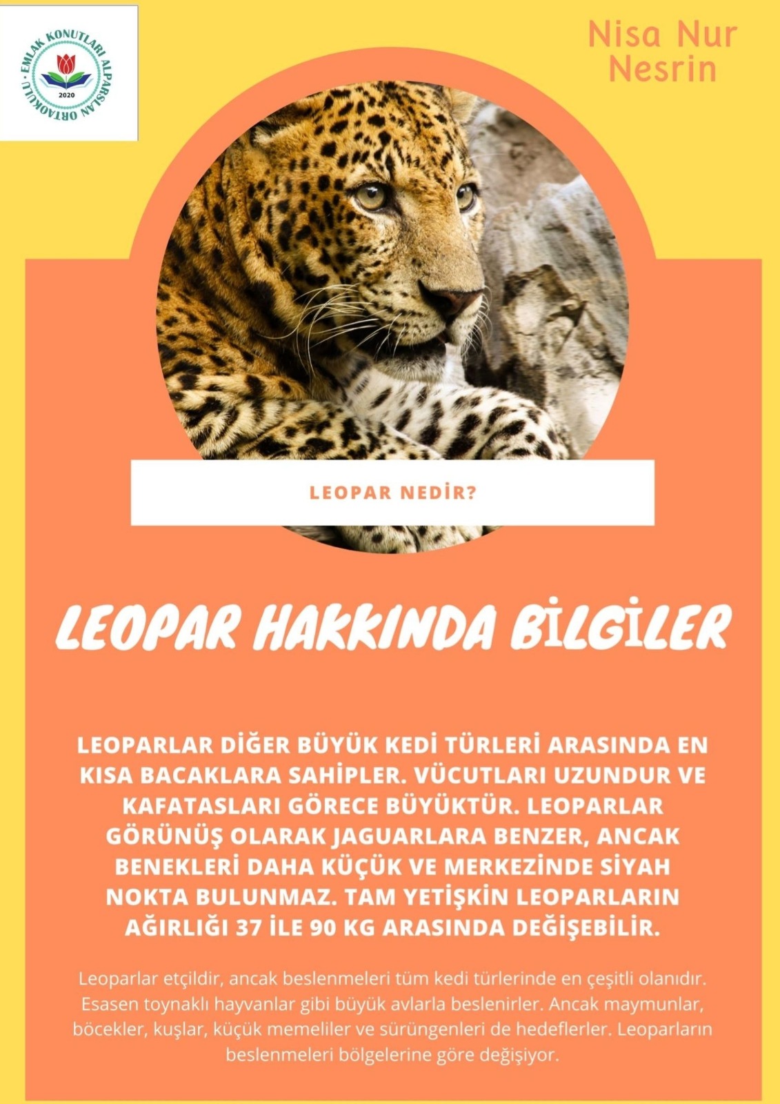 SOYU TÜKENEN VE TÜKENMEKTE OLAN CANLILAR by SELVİ MARANCI - Ourboox.com