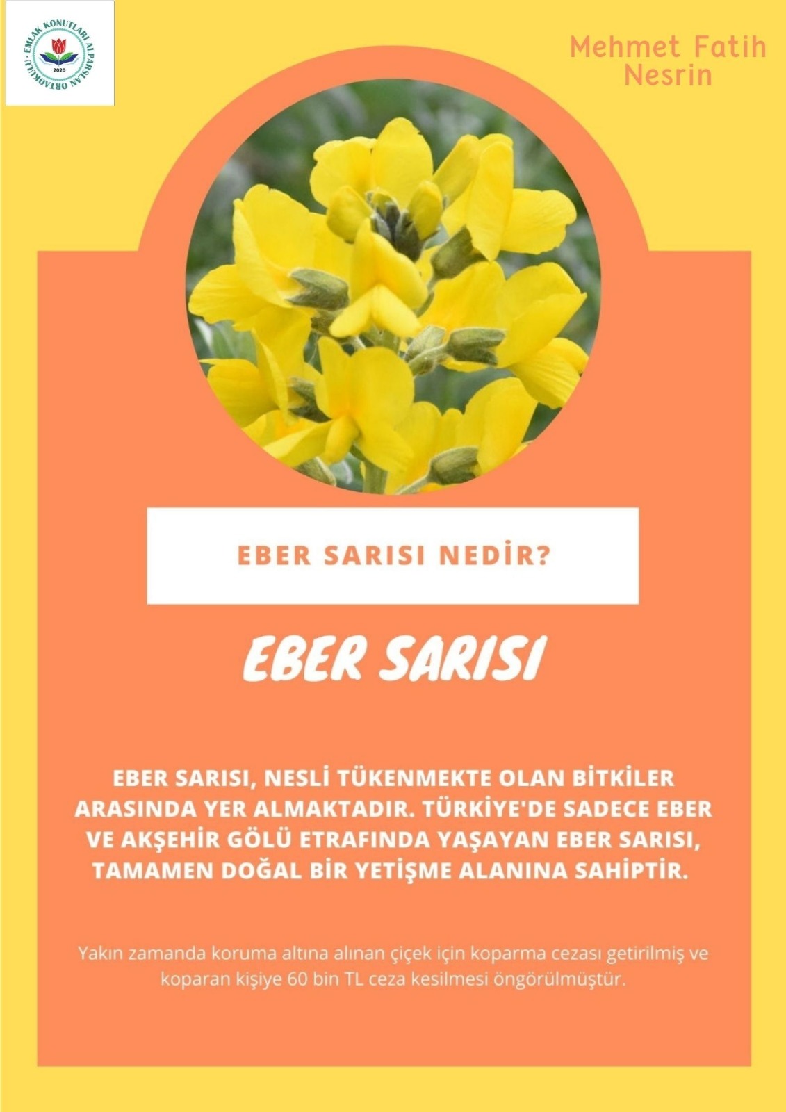 SOYU TÜKENEN VE TÜKENMEKTE OLAN CANLILAR by SELVİ MARANCI - Ourboox.com