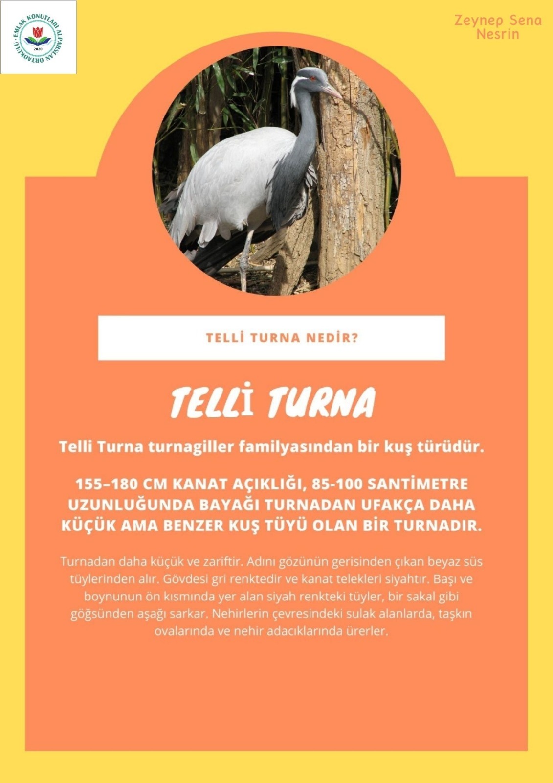 SOYU TÜKENEN VE TÜKENMEKTE OLAN CANLILAR by SELVİ MARANCI - Ourboox.com