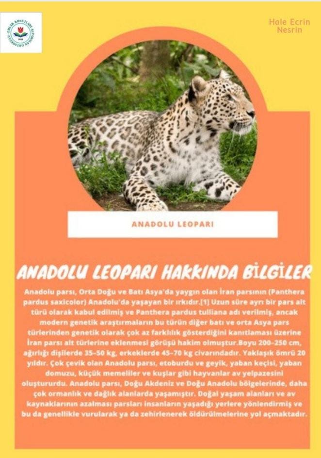 SOYU TÜKENEN VE TÜKENMEKTE OLAN CANLILAR by SELVİ MARANCI - Ourboox.com